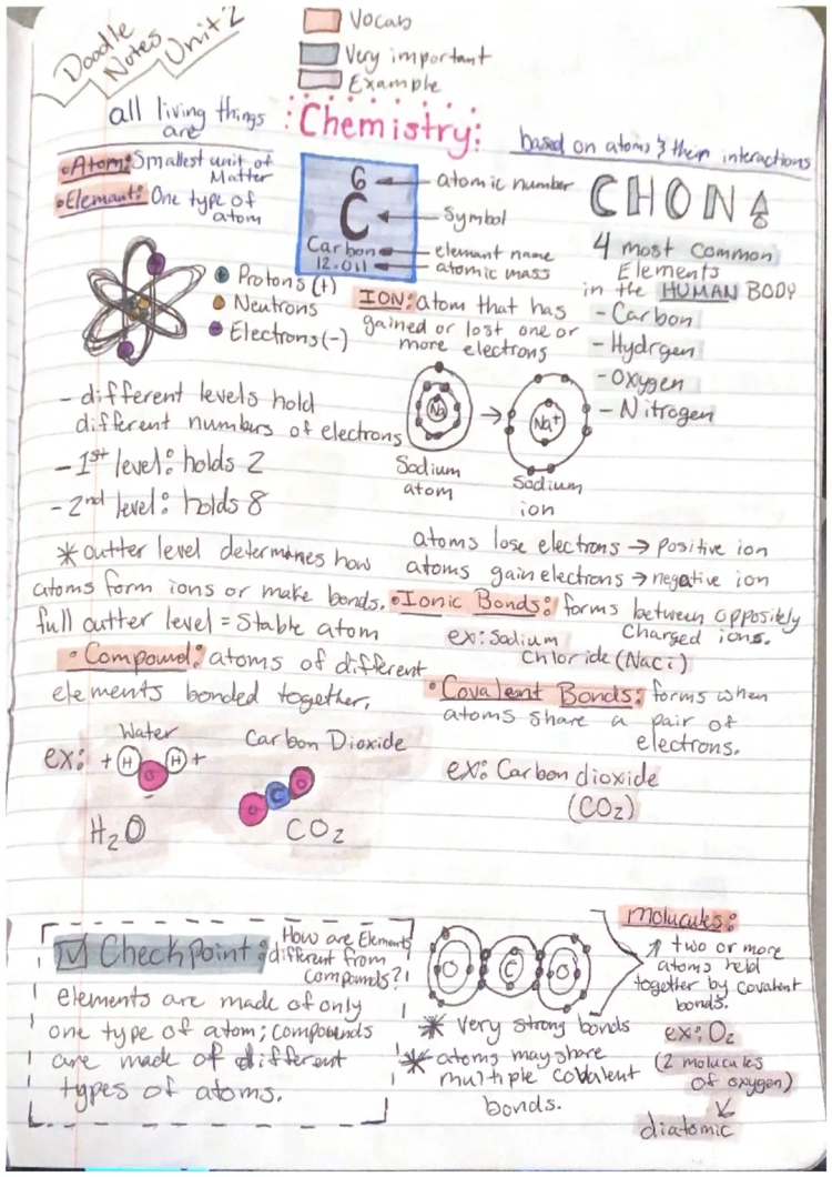 Bio Basic Chem notes 