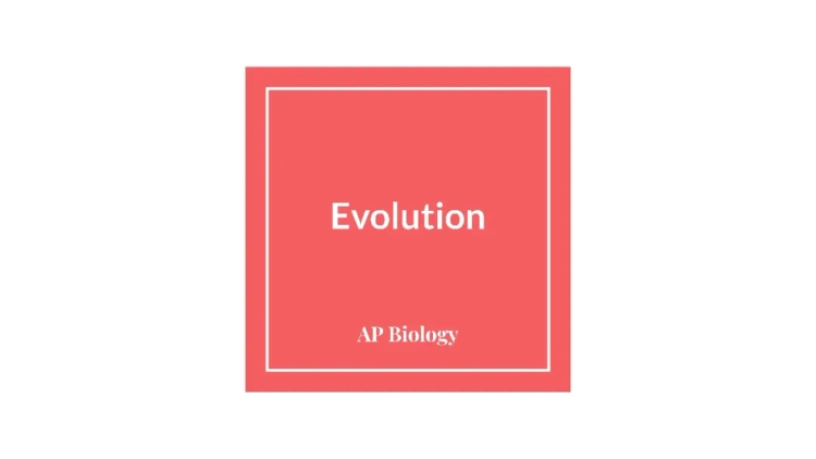 AP Biology Evolution Study Guide - Simple PDF, Quizlet Answers, and More!