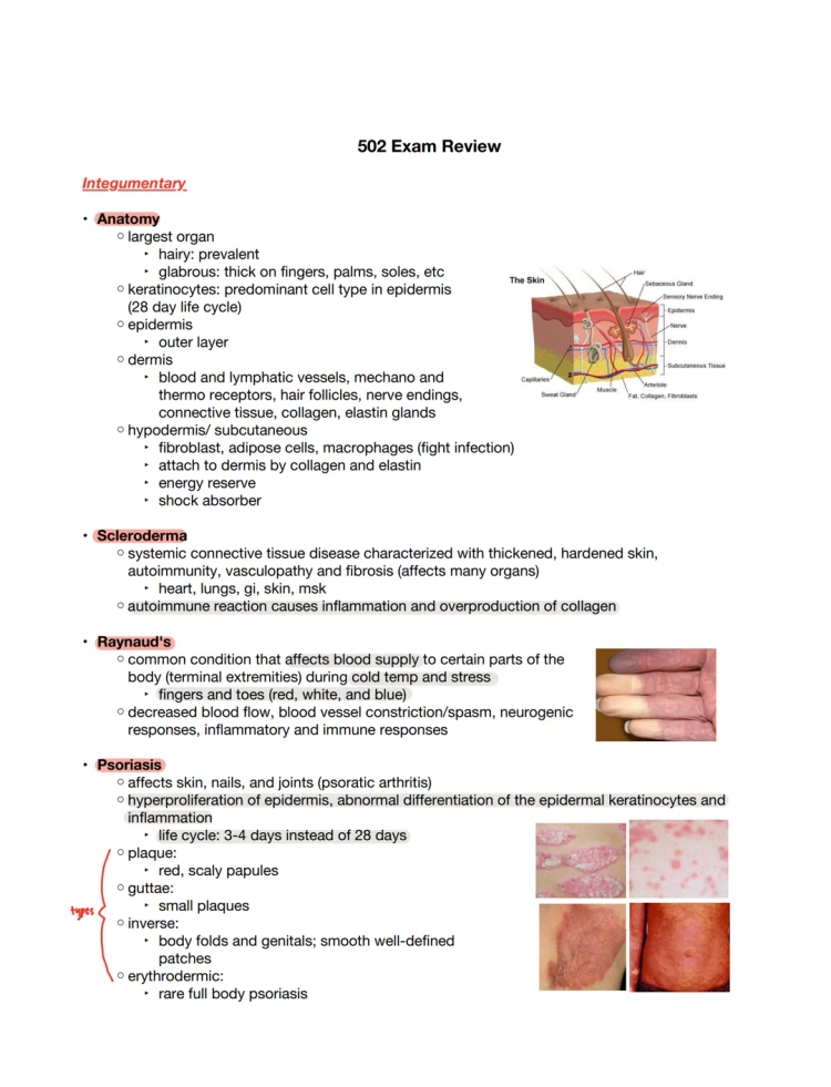 Cool Guide: Skin Diseases and How the Skin Works