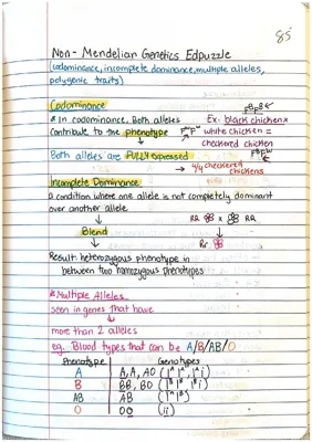 Understanding Non-Mendelian Genetics: Notes, Examples, and PDF