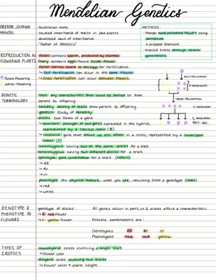 Mendelian Genetics