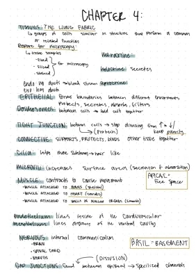 Anatomy and physiology Tissues 