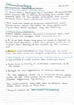 Criminology Unit 2 labelling theory as an explanation for criminality 