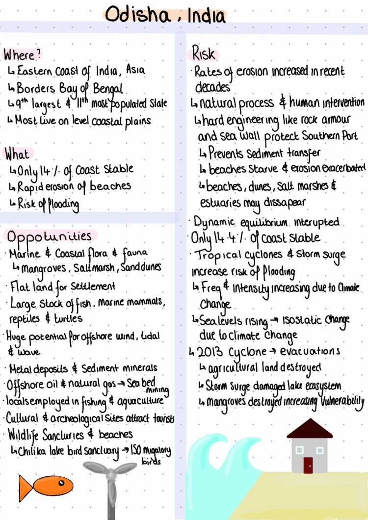Odisha Coastline Case Study: Coastal Erosion and Climate Change for Kids