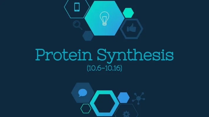 Protein Synthesis: RNA Polymerase, Translation Steps, and Splicing