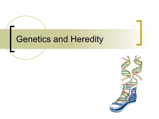 Genetics and Heredity Class 10 PDF Download with Answer Key 2023