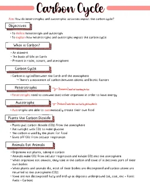 Understanding the Carbon Cycle: Diagram, Examples, and Importance