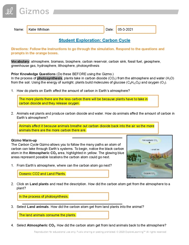 Carbon Cycle Gizmo Answer Key PDF & Fun Activities