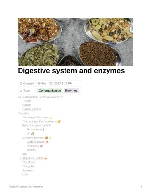 Fun with Digestive Enzymes: What They Do and Why They're Awesome!