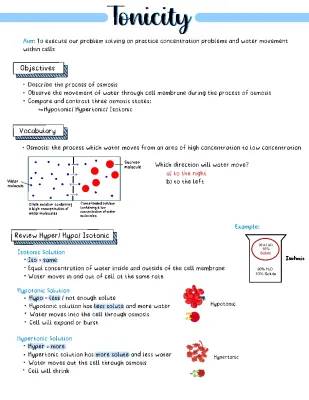 What is Osmosis? Process of Osmosis in Cells & Examples with Diagrams