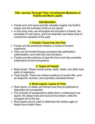 Fossils and rock layers