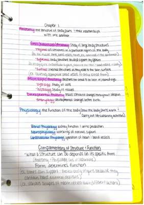 Anatomy and Physiology Chapter Summary (No Mitosis)