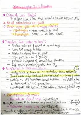 Plants: Origin, Types, and Life Cycles