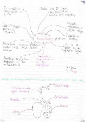 circulatory system and elements 