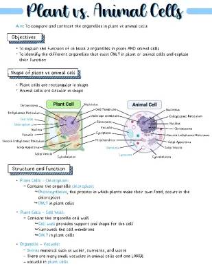 Differences Between Plant and Animal Cells: 10 Fun Facts for Kids