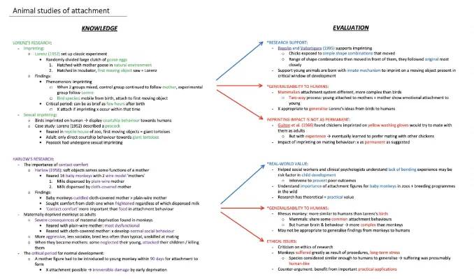 Animal Imprinting and Attachment: Lorenz and Harlow’s Experiments