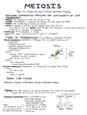 Unit 5: Meiosis