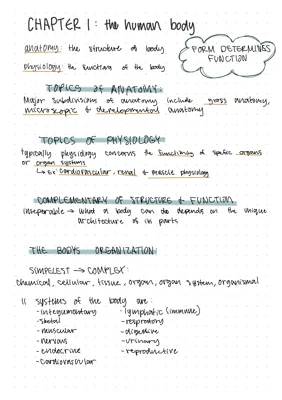 Anatomy and physiology The Human Body 