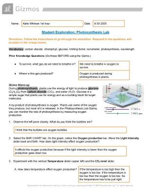 Photosynthesis Lab 