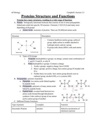 Protein Structure and Functions