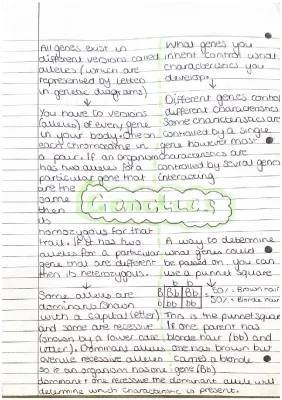 Understanding Genetics: Genetic Diagrams and Alleles Explained