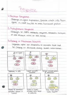 Cool Ways Cells Talk: Cell Communication and Signal Steps PDF