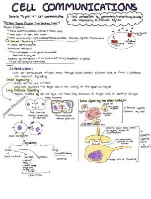 Unit 4: Cellular Communications and Responses