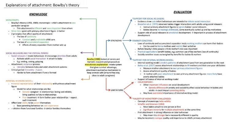 Bowlby's Attachment Theory: Simple Guide for Kids - A Level Psychology PDF