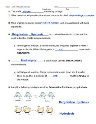 Unit 2 Test Mr king 