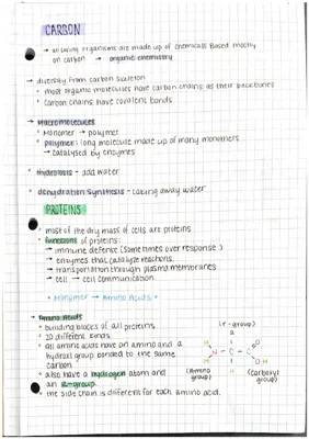 Understanding Carbon-Based Chemistry and Protein Functions: Worksheets, Notes, and Examples