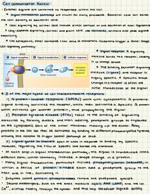 Cell Signaling Pathways: Receptors, Transduction, and Cellular Response