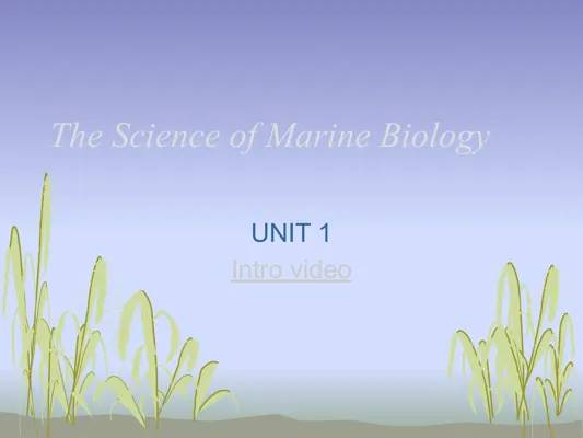 Explore Marine Biology: Discover Ocean Secrets!