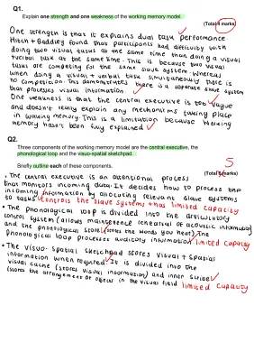 Working Memory Model: Strengths, Weaknesses, and Exam Questions