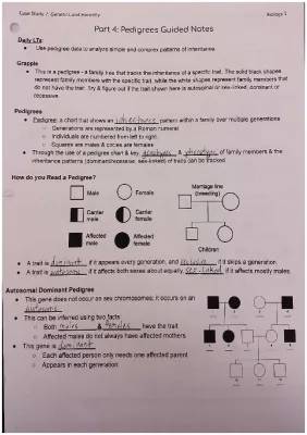 Learn to Read a Pedigree Chart: Easy Genetics for Kids!