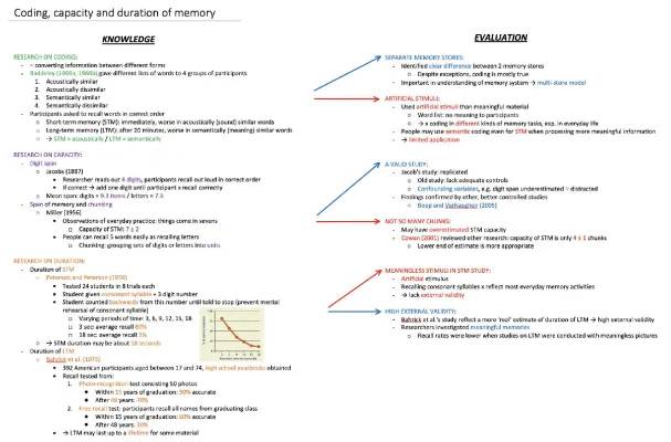 Memory Duration and Capacity Study: Exploring Long-Term and Short-Term Memory