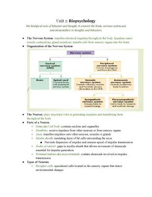 Unit 2: Fun with Biopsychology - Examples, Neurons, and the Nervous System