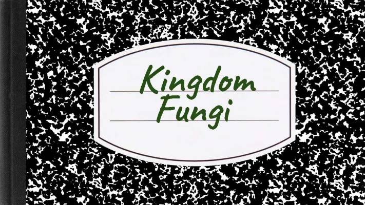 Kingdom Fungi Slides