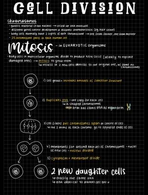 Mitosis (and binary fission)