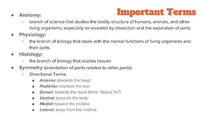 Integumentary & Musculoskeletal Systems Notes PDF