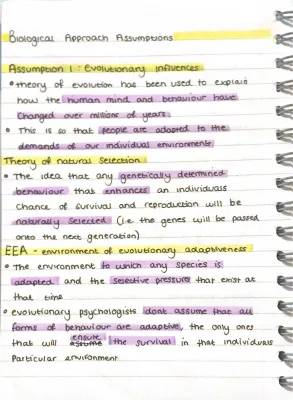 Biological Approach and Brain Functions for AS Level Psychology