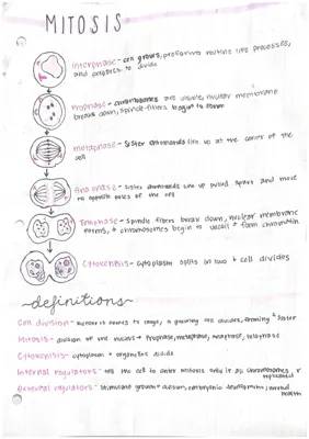 Awesome Guide: Stages of Mitosis and Cell Division with Fun Diagrams