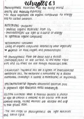 Chapter 6.3 AP Notes