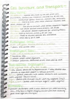 10 Differences Between Plant and Animal Cells for Kids - Diagrams, Microscopes, and Cell Transport!