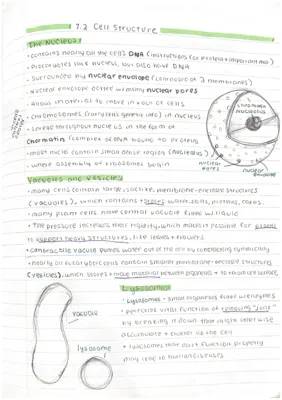 Notes for 7.2 Life is Cellular (cell organelles)