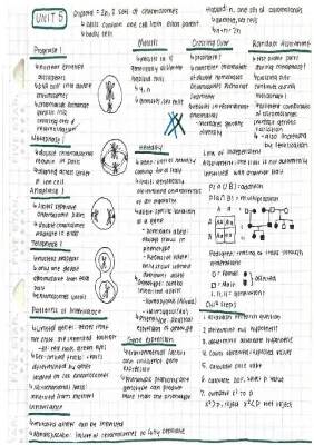 Fun with Meiosis: Stages, Inheritance Patterns, and Genetic Recombination