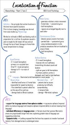 Fun Brain Stuff: A Level Psych and Split-Brain!