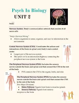 Understanding the Peripheral Nervous System and Neurons: A Simple Guide for Class 10 Students