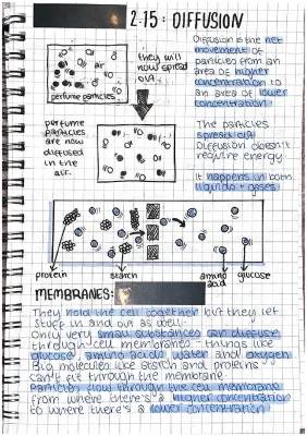 Diffusion, osmosis and active transport 