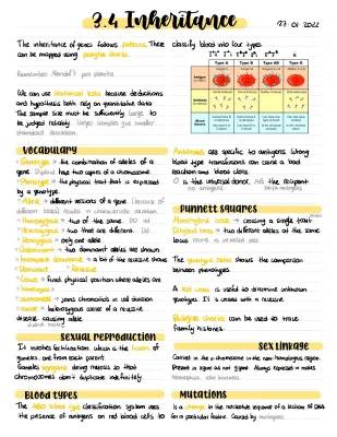 Fun IB Biology: Inheritance Patterns, Blood Types & More!