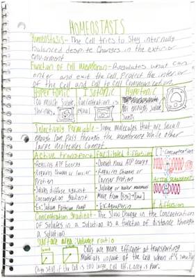 Learn About Cell Membranes and Blood Sugar Fun Facts